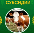 foto 2026 06 25 11 24 001 - Большебейсугское сельское поселение