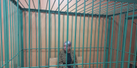 Избрана мера пресечения в виде заключения под стражу в отношении жительницы Старополтавского района, подозреваемой в вымогательстве денежных средств у своего знакомого, совершённом с применением насилия - Старополтавский районный суд