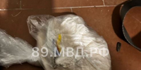 До 20 лет тюрьмы грозит задержанному в Ноябрьске наркокурьеру - ГТРК Ямал
