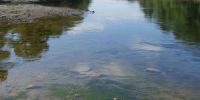 В Соль-Илецке водитель утонул в озере, пытаясь удержать машину - Yuzh-Ural.Ru