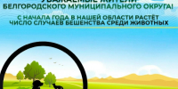Уважаемые жители Белгородского муниципального округа!. - Администрация Белгородского района