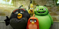 Пернатые бунтари возвращаются: People показал первые кадры «Angry Birds в кино 3» - Кубанские Новости