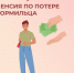 Как свердловским студентам сохранить пенсию по случаю потери кормильца - Городской округ Верхотурский