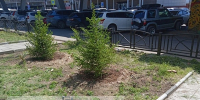 Бурятия направила 16 заявок на конкурс по улучшению городской среды - ИА Байкал-Daily