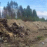 Опашка В Ледмозере - Петрозаводск говорит