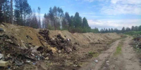 Опашка В Ледмозере - Петрозаводск говорит