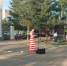 Городские парки приглашают костромичей на игровые и музыкальные программы - Город Кострома