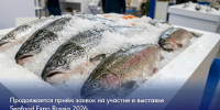 Продолжается приём заявок на участие в выставке Seafood Expo Russia 2026 - Министерство развития Арктики и экономики