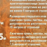 Сжигание веток. - Администрация Карачевского района