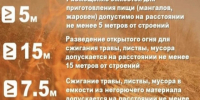 Сжигание веток. - Администрация Карачевского района