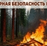 Пожарная безопасность в лесу (природные пожары). - Администрация Карачевского района