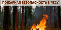 Пожарная безопасность в лесу (природные пожары). - Администрация Карачевского района