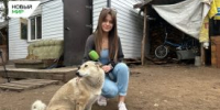 Курганцы смогут спасти десятки жизней животных из приютов - Новый мир