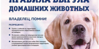 Самовыгул домашних собак запрещен - Терский район