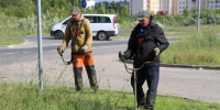 Глава Северодвинска рассказал о покосе травы - Tv29.Ru