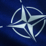 Трансформация: НАТО собирает коалицию против России, Китая, Ирана и КНДР - ЛенТВ24
