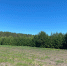 Природа, участок - Новый Компаньон