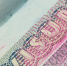 Срок выдачи виз в Италию для россиян увеличился - M24.Ru
