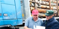 24 случая незаконной рубки лесных насаждений выявлено в Башкортостане в рамках операции «Лес» - Министерство лесного хозяйства