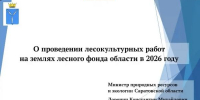 В Саратовской области подвели итоги весенних лесопосадочных работ - Правительство Саратовской области