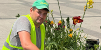 Тысячи новых растений украсили клумбы города - Городской совет