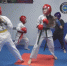 Спортсмены из КЧР заняли призовые места на Кубке мира по тхэквондо - Архыз 24