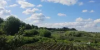После короткого тепла в Башкирии вновь зарядят дожди - Башинформ