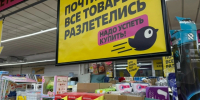 Пока все брезгуют Чижиком, я бегу туда каждый день после работы: мой личный топ покупок от молочки до бытовой техники - Progorod33.Ru