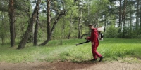 Случаи укусов клещей увеличились в Приангарье по сравнению с прошлым годом - IrkutskMedia.Ru