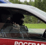 В Коми силовики остановили дебошира в кафе - Pg11.Ru