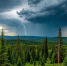 Лесной пожар, 6 с начала года, потушен в Хакасии - Абакан 24