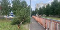 VtlXAbGxXeV2Z1XkA2cG7aBz0yZmL4g9Zu2kD4Ku3PgfFE-XBW1mBRpCNDihlGNEh8VRAN5pXYo_sfNJxQsF22ar.jpg - Gorod3466.Ru