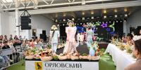 ОРЛОВ ФЭШН-2026 - СМИ Видное