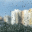 В Тюмени - тёплые, но дождливые выходные - NG72.Ru