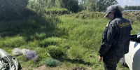 Нижнеобское терруправление Росрыболовства - ИА Тюменская линия