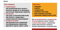 О профилактике бруцеллеза - Администрация Суровикинского района