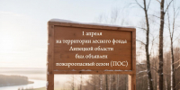 Охрана лесов от пожаров: протоколы, штрафы, термоточки - Народное слово