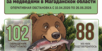 Тематическое фото Правительство Магаданской области - MagadanMedia.Ru