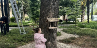 Творческий конкурс для семей с детьми запускают в Норильске - ИА Таймырский Телеграф