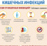 Острые кишечные инфекции (ОКИ). Как передаются? - Кадыйский район