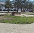 Клумбы в сквере со слоником в центре Костромы украсят цветами - Интернет-телевидение Логос