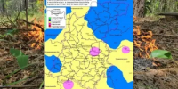 Сводка пожароопасности на 25.06.2026 - Министерство лесного хозяйства