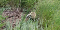 Пятничный привет из заказника «Светлинский»! - Министерство природных ресурсов