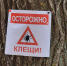 Фото: ПАИ - InformPskov.Ru