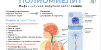 О профилактике полиомиелита - Роспотребнадзор