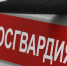 Кировские росгвардейцы задержали подозреваемых в краже спиртных напитков - Kirov.Online
