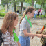 В детском лагере под Аткарском работала передвижная выставка областного музея спецоперации - Газета Аткарская газета