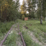33249fc7-8229-4aaa-8794-c7a7b18b1979.jpg - Поназыревcкий район