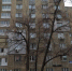 В Саратове школу - Общественное мнение