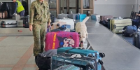 При содействии служебных собак было досмотрено более 276 тысяч единиц багажа пресс-служба регионального ФТС России - IrkutskMedia.Ru
